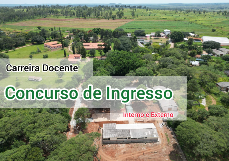 Concurso ingresso