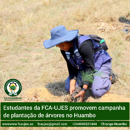 Arborização-Estudantes 2025